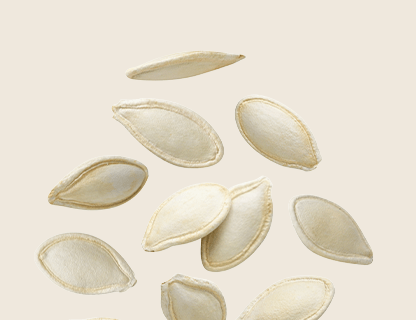 ESTRATTO DI SEMI DI ZUCCA