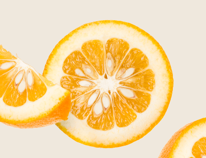 ESTRATTO DI ARANCIO AMARO