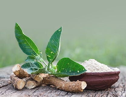 Uso della radice e delle foglie