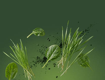 Tanti superfood