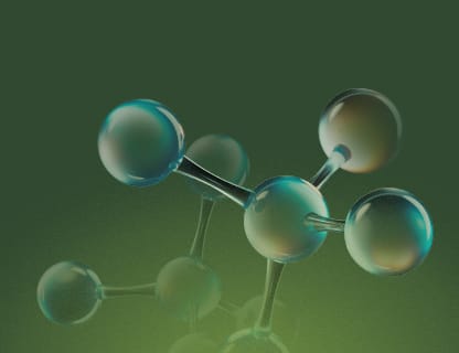 Vitamine B bioattive