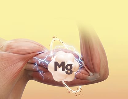 Bisglicinato di magnesio organico