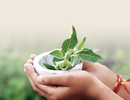 Aperti alle soluzioni vegetali tradizionali