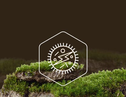 Cloruro di nicotinamide-riboside, la fonte di energia delle cellule