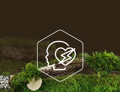 Coenzima Q10, il motore delle cellule