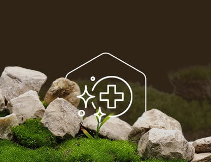 Trans-resveratrolo, la forza dei polifenoli