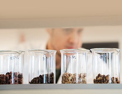 Cerchi una composizione armoniosa