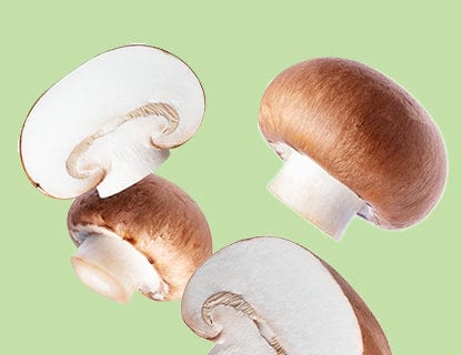 Vitamina B2